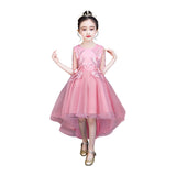 Girls dress princess dress