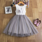 Little Girl Korean Style Suspender Mesh Skirt