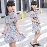 Summer girls butterfly dress skirt new fashion tide chiffon dress in the big children summer dress