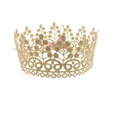 Child Crown Adult Birthday Crown Baby Birthday Party