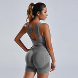 2pcs Yoga Set Women's Vest And Shorts Tracksuit Seamless Workout Sportswear Gym Clothing High Waist Leggings Fitness Sports Suits - AL MONI EXPRESS