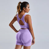 2pcs Yoga Set Women's Vest And Shorts Tracksuit Seamless Workout Sportswear Gym Clothing High Waist Leggings Fitness Sports Suits - AL MONI EXPRESS