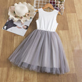 Little Girl Korean Style Suspender Mesh Skirt