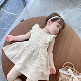 Girl's lace dress baby princess dress