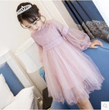 Girl dress, long sleeve princess dress, children dress, autumn dress Princess House, lace big child yarn skirt wholesale for children