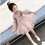 Girl dress, long sleeve princess dress, children dress, autumn dress Princess House, lace big child yarn skirt wholesale for children