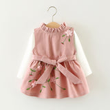 Children's wear autumn girls, cotton long sleeved T-shirt dress, two sets of infant princess skirt set