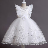 Embroidered Little Flowers Girls Dress Princess Dress