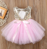 Princess Flower Girl Tutu Style Party Dress