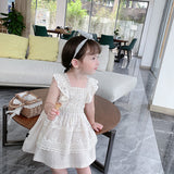 Girl's lace dress baby princess dress