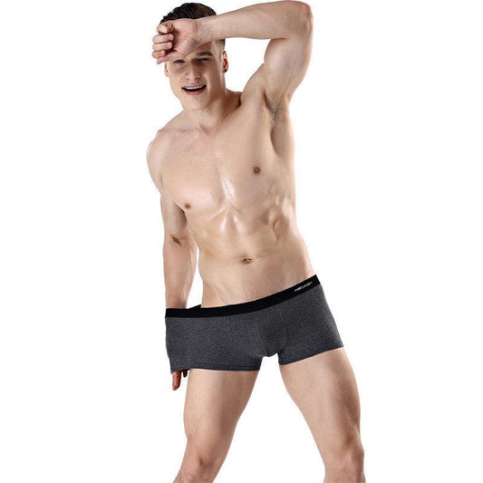 Antarctic Men's Underwear Zhongshan Underwear - Almoni Express