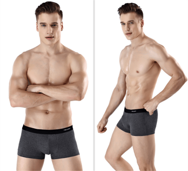 Antarctic Men's Underwear Zhongshan Underwear - Almoni Express