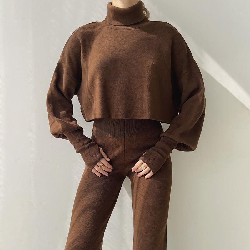 Autumn And Winter New European And American Turtleneck Loose Long Sleeve Top Female Casual Fashion Set - AL MONI EXPRESS