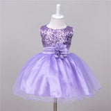 Baby Sequin Dress Flower Girl Wedding Princess Dress - Almoni Express