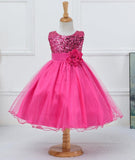 Baby Sequin Dress Flower Girl Wedding Princess Dress - Almoni Express