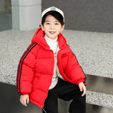 Children's Cotton Clothes Thickened Fall Winter Coat