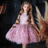 Piano Performance Grade Examination Photographer's Feather Dress