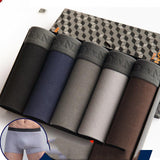 Men's boxer pants gift box - Almoni Express