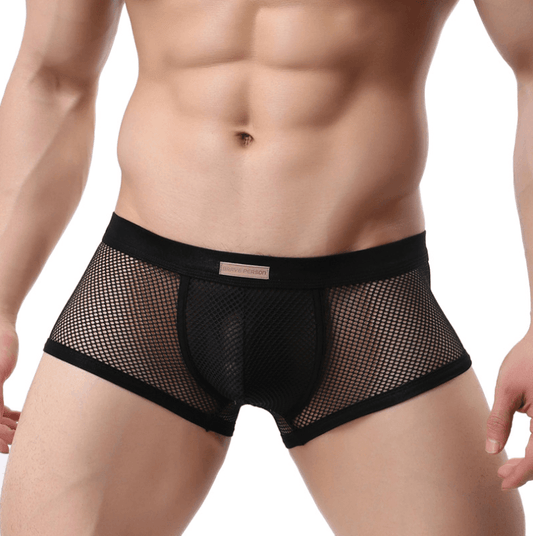 Men's Underwear Sexy Men's Boxer Pants Large Mesh Mesh Breathable Sexy Men's Underwear - Almoni Express