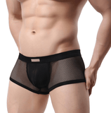 Men's Underwear Sexy Men's Boxer Pants Large Mesh Mesh Breathable Sexy Men's Underwear - Almoni Express