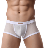 Men's Underwear Sexy Men's Boxer Pants Large Mesh Mesh Breathable Sexy Men's Underwear - Almoni Express