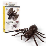 Remote control car spider electronic pet - Almoni Express