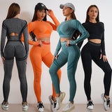 Seamless Yoga Pants Sports Gym Fitness Leggings Or Long Sleeve Tops Outfits Butt Lifting Slim Workout Sportswear Clothing - AL MONI EXPRESS