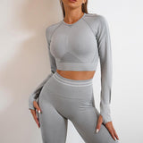 Seamless Yoga Pants Sports Gym Fitness Leggings Or Long Sleeve Tops Outfits Butt Lifting Slim Workout Sportswear Clothing - AL MONI EXPRESS