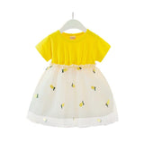 Small and medium girl pineapple skirt - Almoni Express