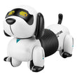 Smart Sensor Pet Stunt Dog Programming Remote Control - Almoni Express