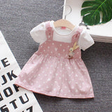 Summer Cute Cartoon Baby Princess Birthday Party Mesh Dresses - Almoni Express